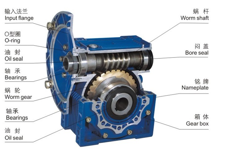 蜗杆减速机截面图